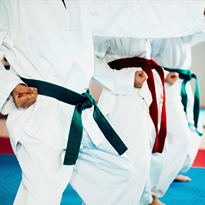 태권도전공(스포츠학부)